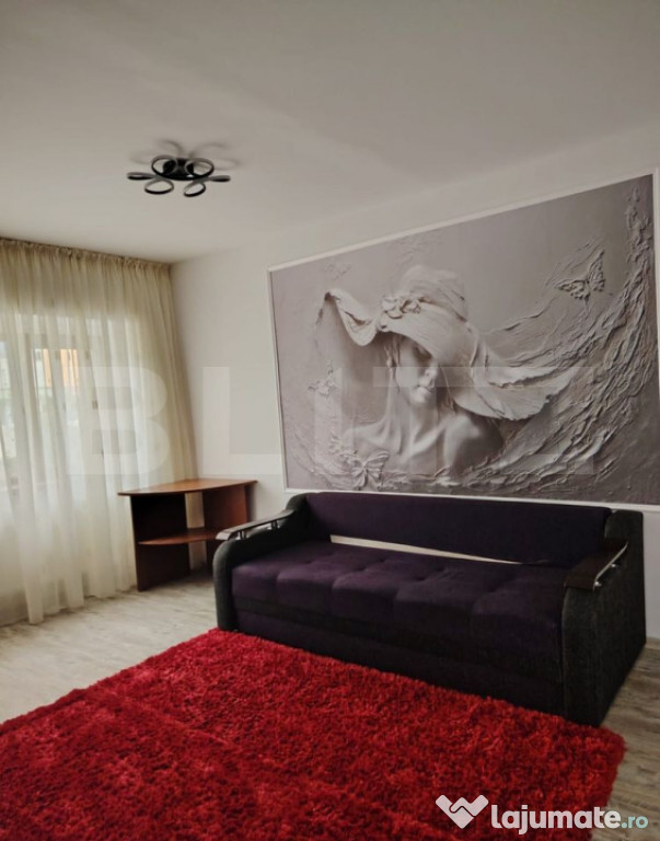 Chirie apartament 2 camere nicolina 2