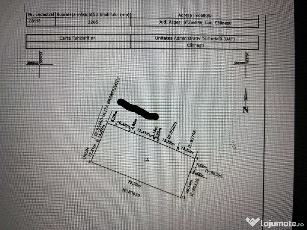 TEREN INTRAVILAN CALINESTI, ARGES