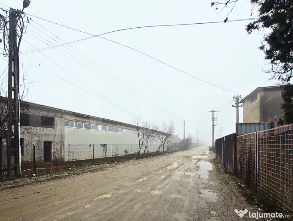 Hală Industrială Mare | 1.250 mp | Acces DN71 | Uși Indus