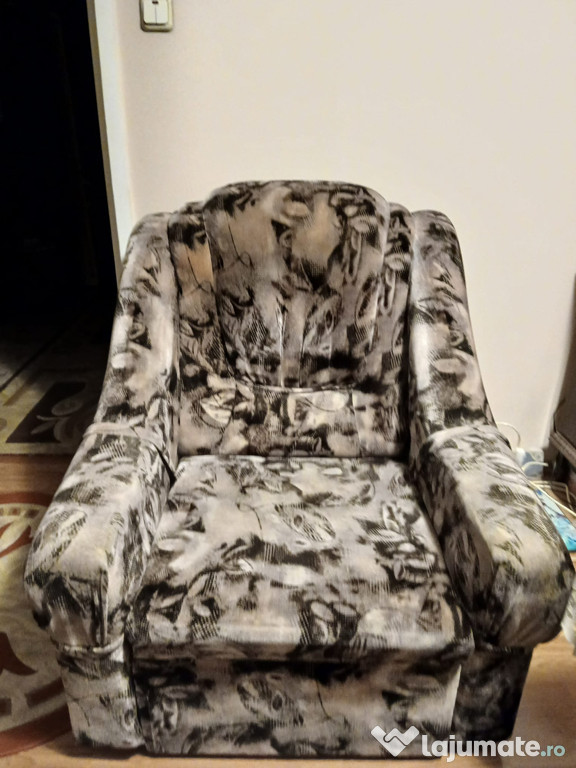Fotoliu cu spatiu de depozitare