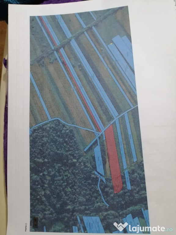 Teren agricol intra si extravilan 6200mp