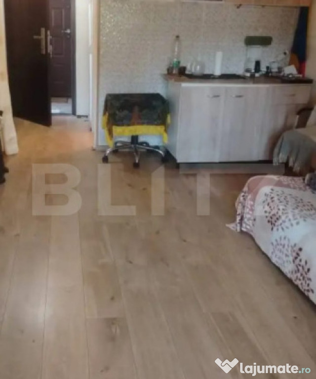 Spatiu Comercial Garsonieră cu multiple posibilități de u