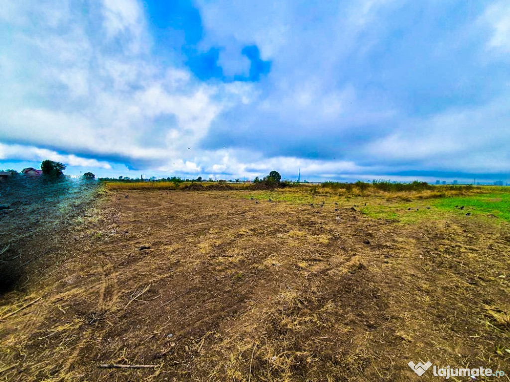 Teren Intravilan Bradu Arges 646 mp