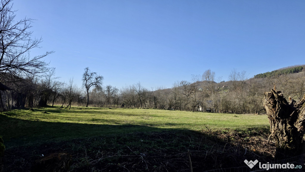 Teren 4.549 mp intravilan, cu posibilitate de parcelare.