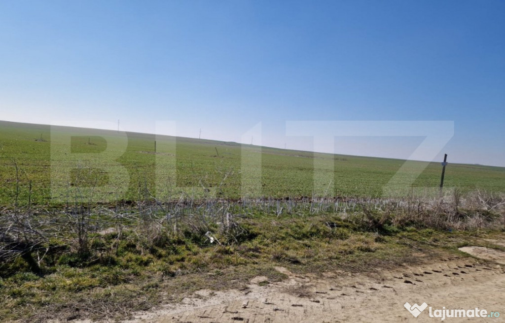 Teren intravilan cu o suprafata 1500 mp in zona Metro