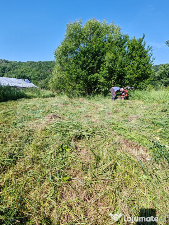 Teren intravilan 1049 mp – Cobia, sat Mislea – ieșire l
