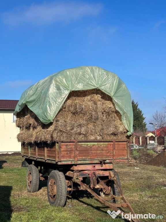 Vând baloți de iarbă și lucernă