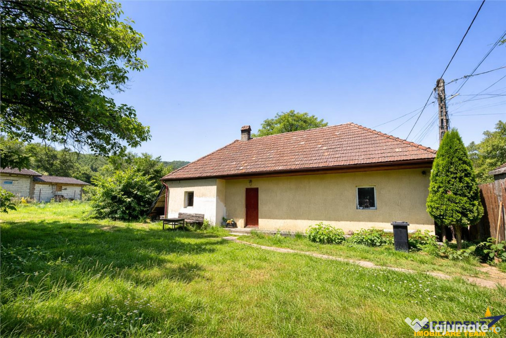 FILM Tur 3D! Casa cu gradina, pomi fructiferi, fantana, Zago