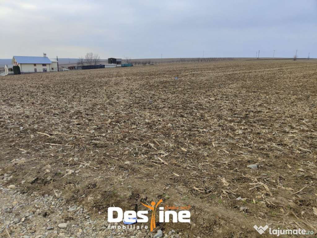 Comision 0% - Teren Primarie Dumesti, 8100 mp, front 13 ml,
