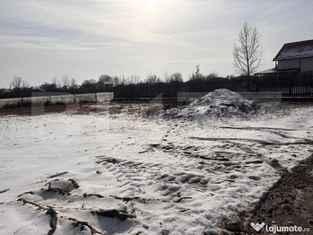 Loturi Teren intravilan zona Priseaca