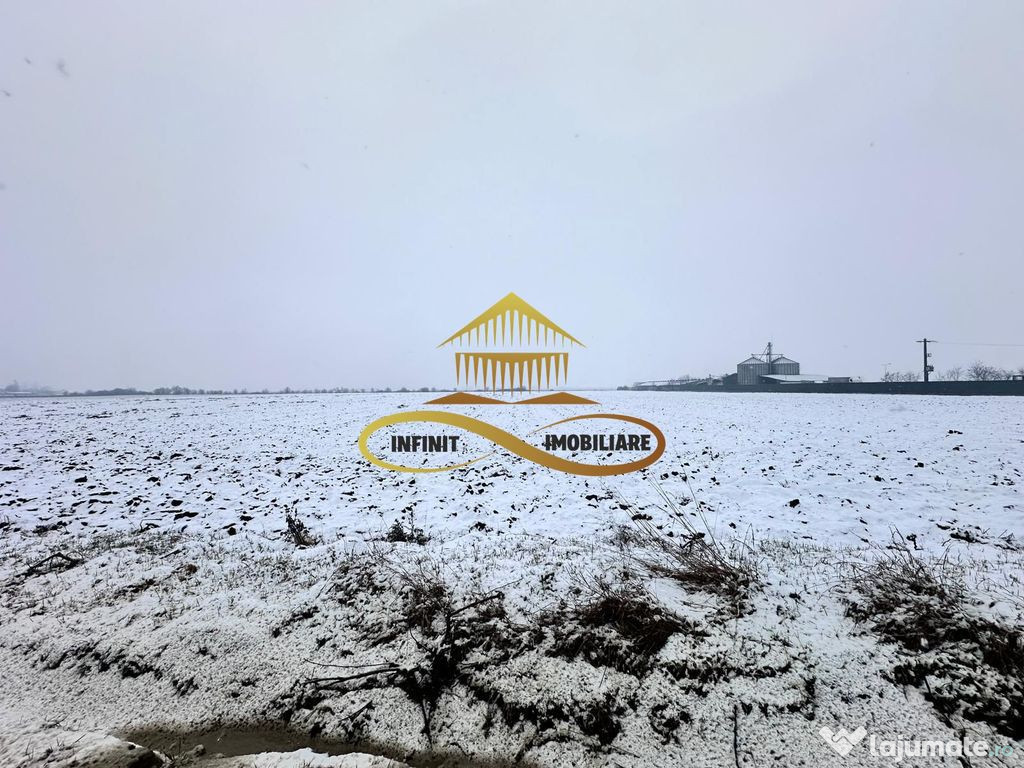 Teren de vanzare Schineni Saucesti