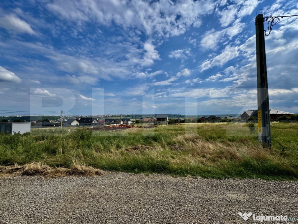 Teren Intravilan 8.6 ari, Scheia, 20m deschidere.