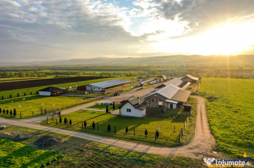 FilmTur LIVE! Ferma Anexe specifice Constructie rezidential