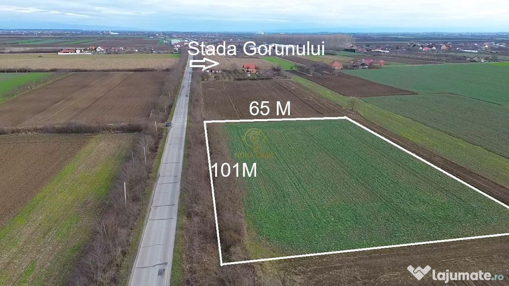 Teren 6600MP Cu Front Stradal 101 M La Intrare in Lazuri ...