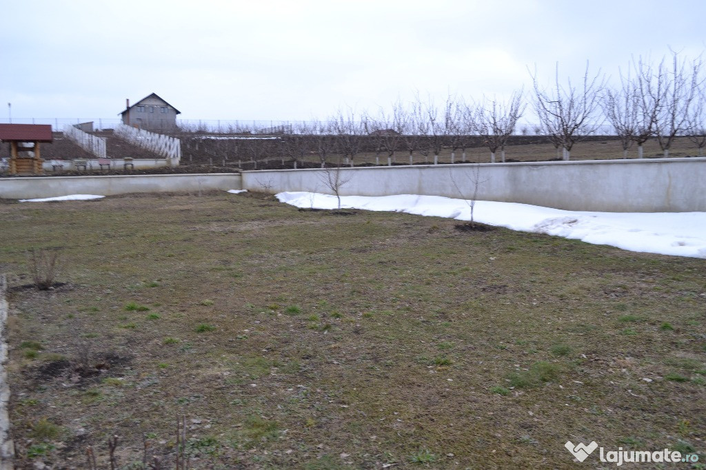 Teren 7853 mp Baluseni Periferie