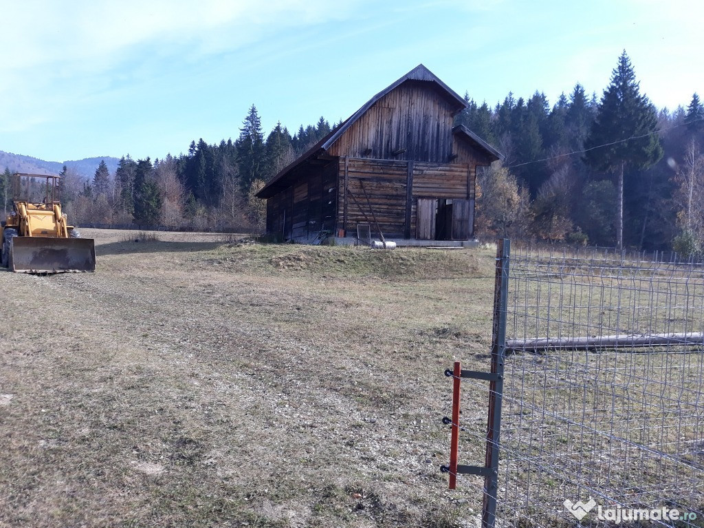 Hala cu teren in loc. Zagon jud. Covasna periferie