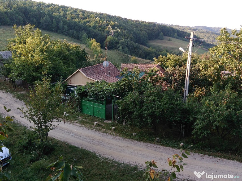 Casa in sacalasau nou