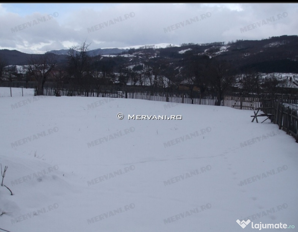 Teren 1050mp