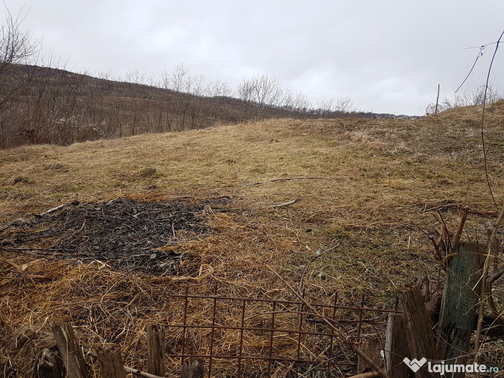 21 HECTARE teren arabil si pășune in Lacusteni