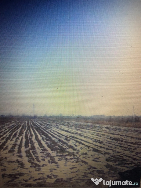 Teren agricol 10000mp