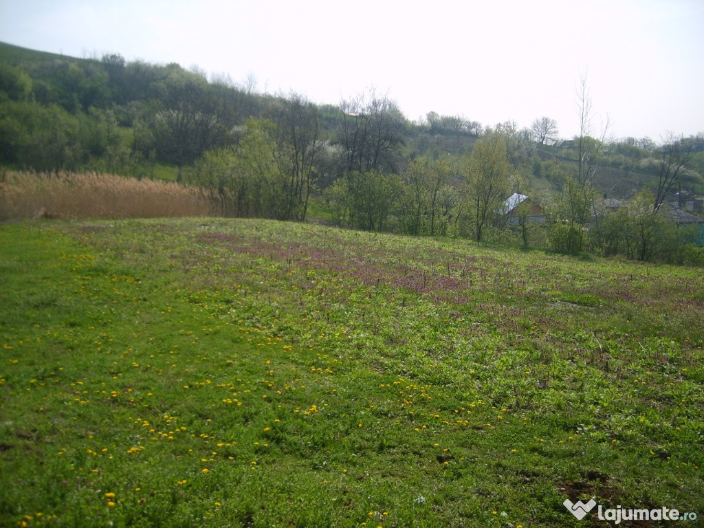 998 mp,gradina,loc de casa ,intravilan,oraseni vale