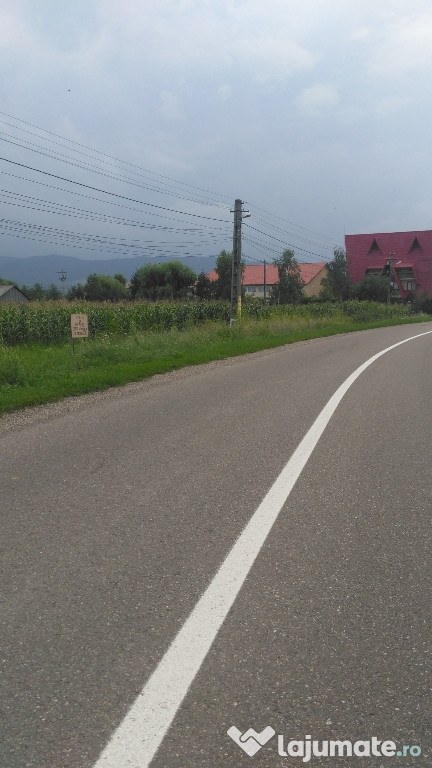 Teren intravilan 2500 mp