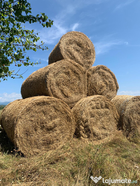 Baloți paie rotunzi