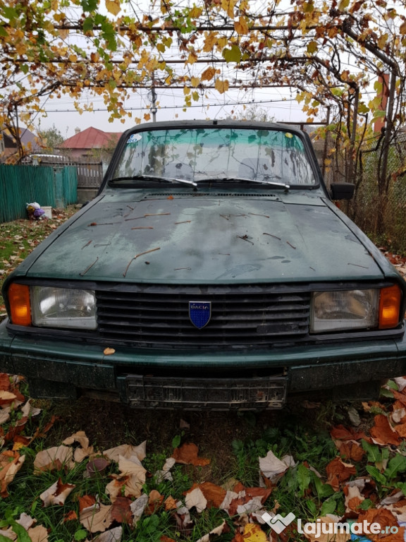 Dacia 1310