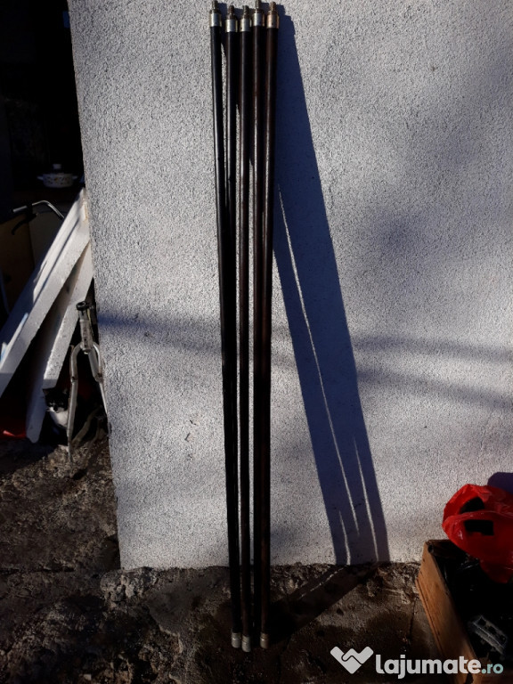 Baston horn profesionale