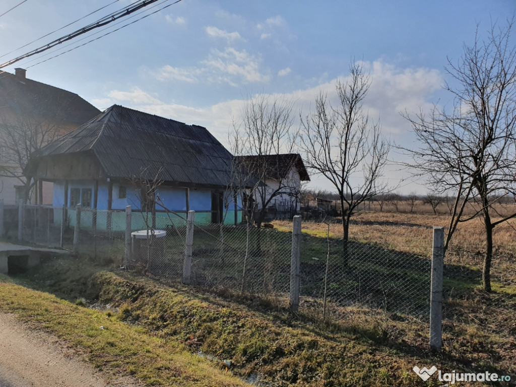 Casa cu teren,  Coca, Satu-Mare, Calinesti Oas