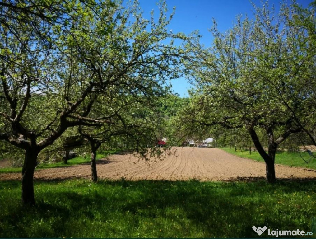 Teren intravilan Valcea