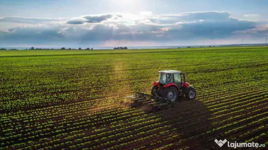 Teren agricol Mehedinti-Gornovita 800 ha