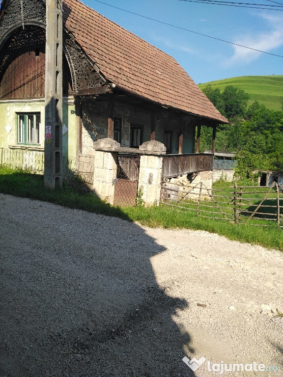 Casa în sat vistea