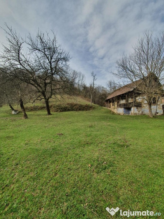 Casa veche si teren, pretabil loc de casa de vacanta