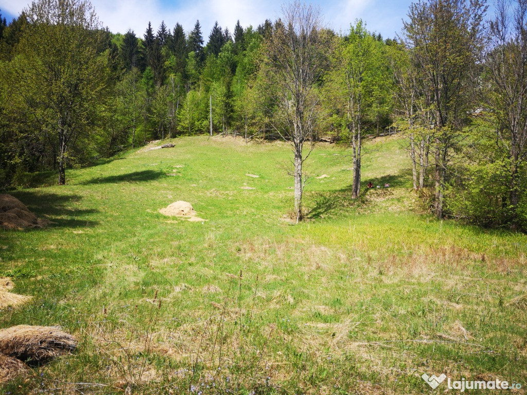 Teren de Cabane 15000 mp