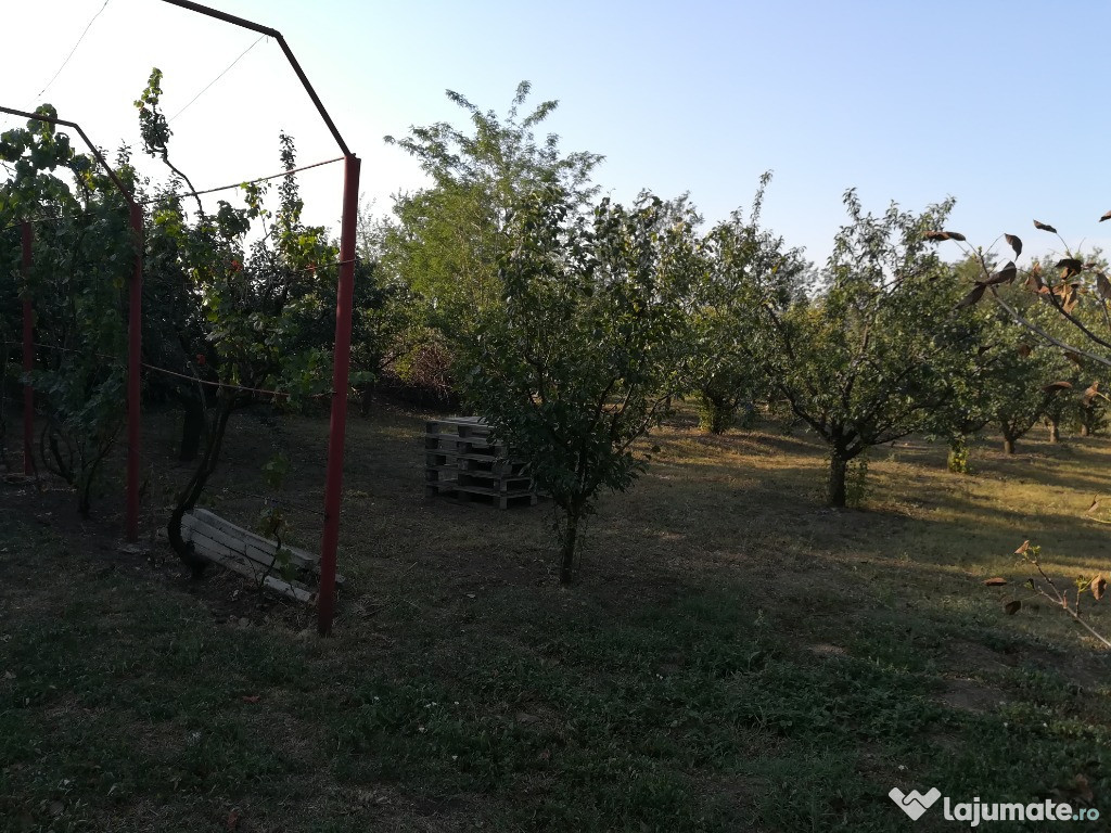 Casa si livada comuna Ion Roata