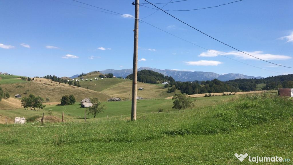 Teren sat Ciocanu,zona Sirnea Dambovicioara