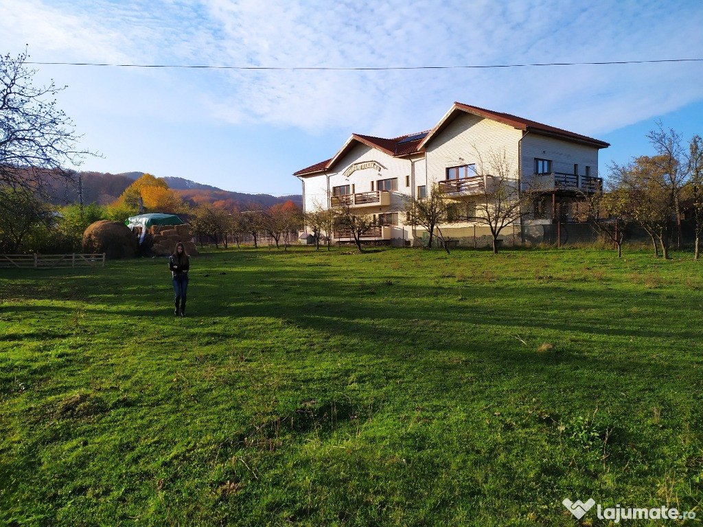 Teren Intravilan Comuna Poiana Campina