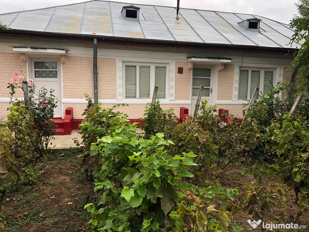 Casa +Teren 23000mp Zoresti, Buzau, Vernești