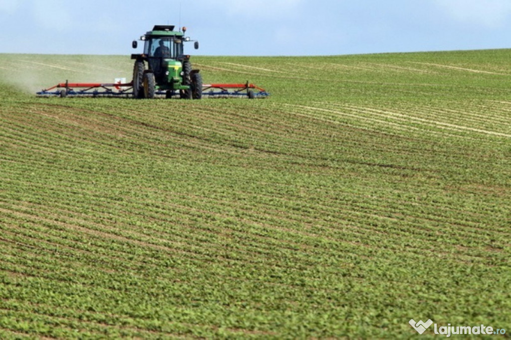 Teren agricol in zona Frasinet jud, Calarasi 10000mp