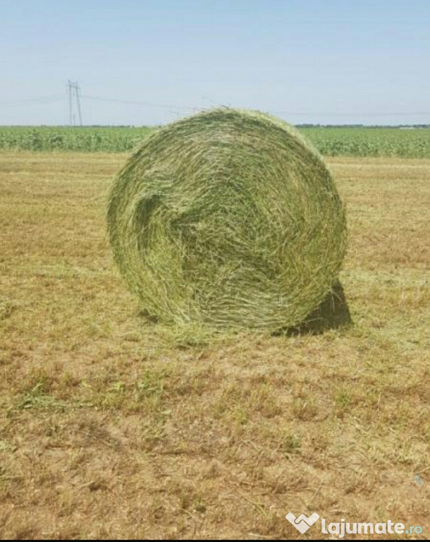 Baloți mari rotunzi