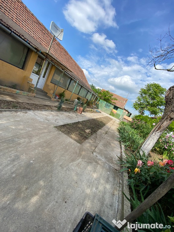 Casa la tara - Firiteaz