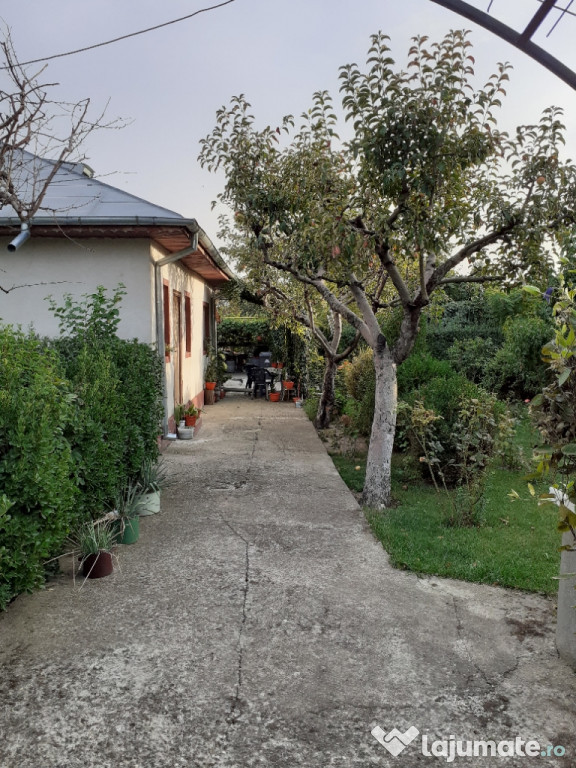 Casa in cartier Bora, municipiul Slobozia, jud. Ialomița.