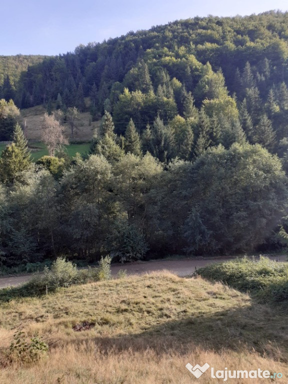 Teren intravilan in comuna Avram Iancu - Tarsa Jud. Alba