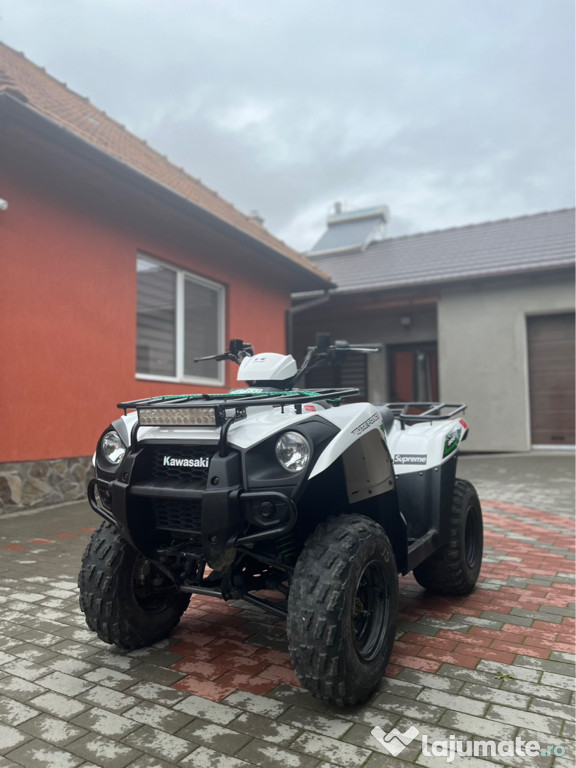 Kawasaki Brute Force 300