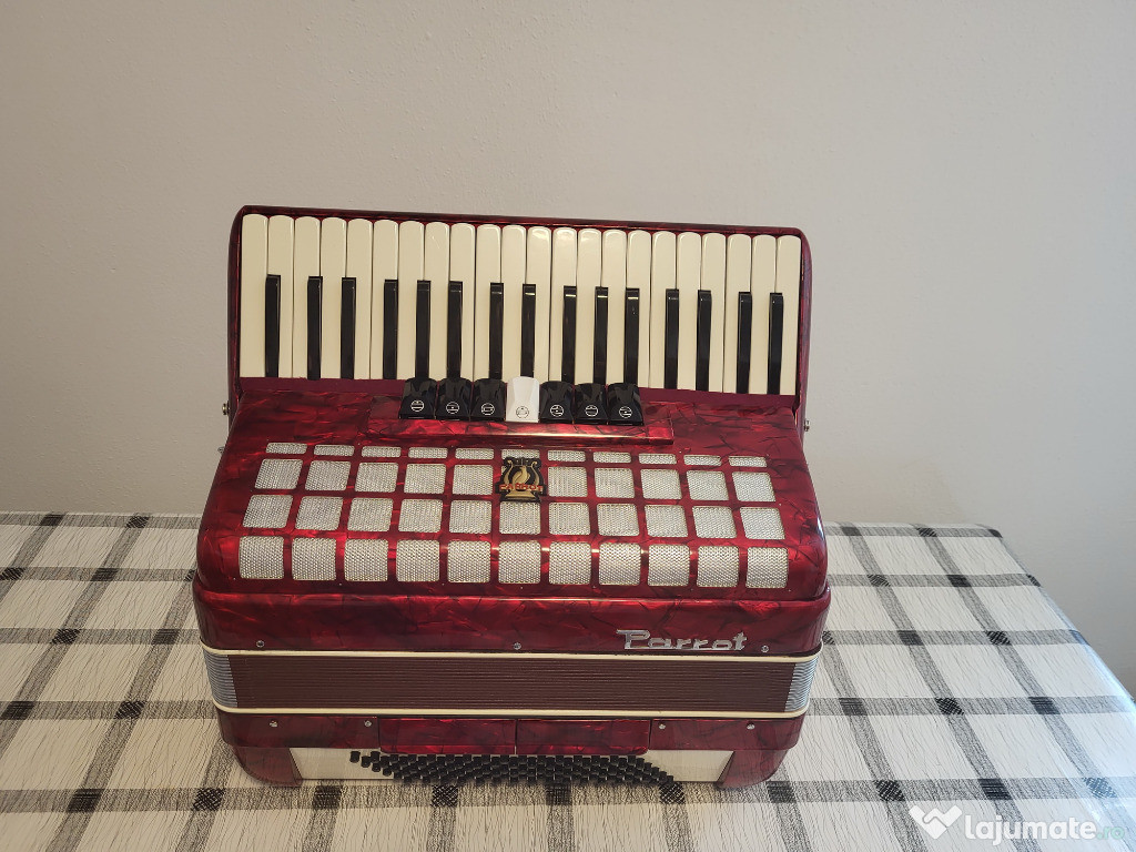 Acordeon Parrot 96 başi
