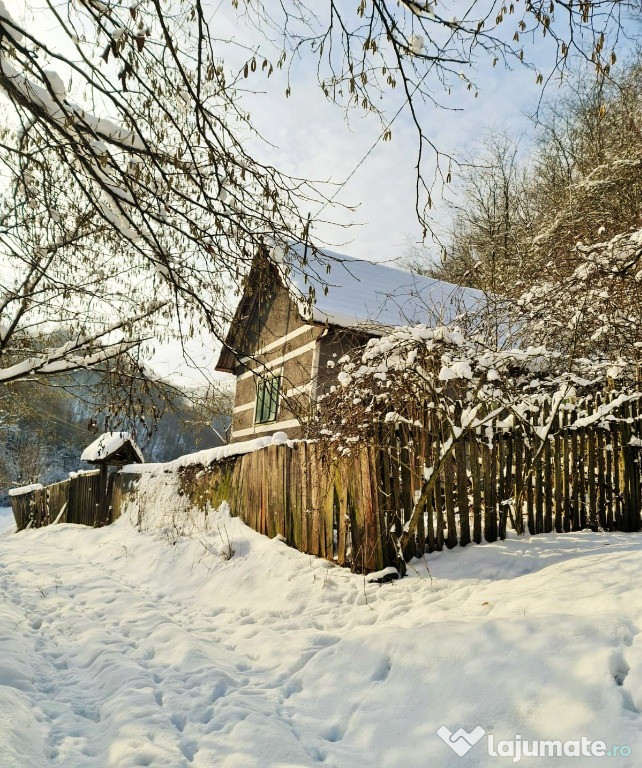 Apuseni Casa din barne lemn si piatra 2 camere si beci,49mp