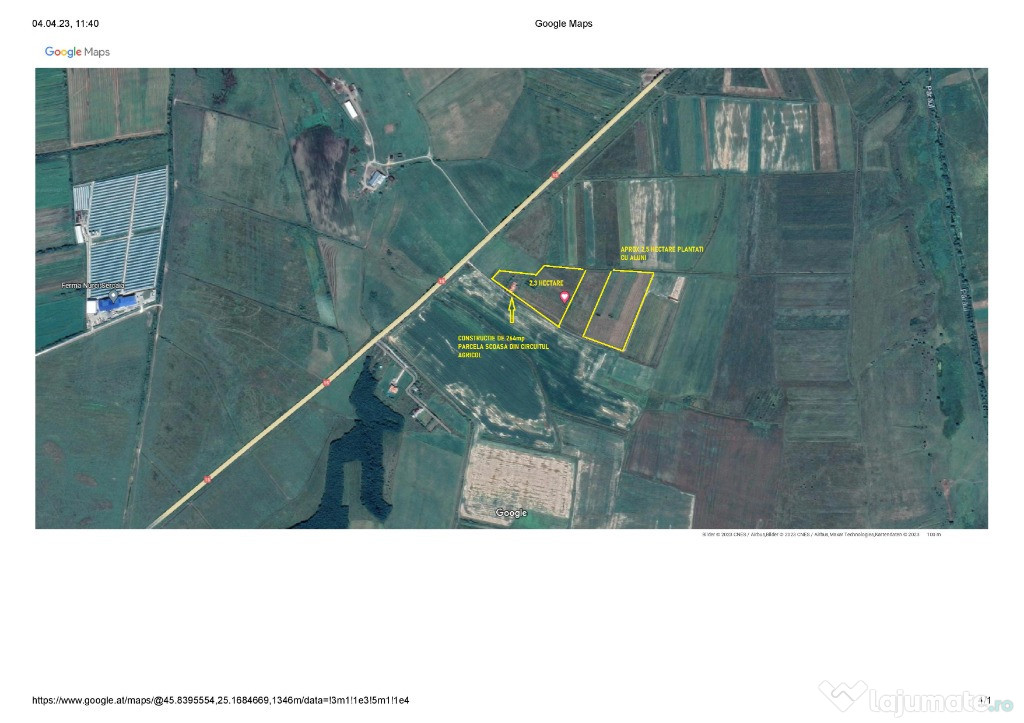 Plantatie de aluni de 2,5 hectare