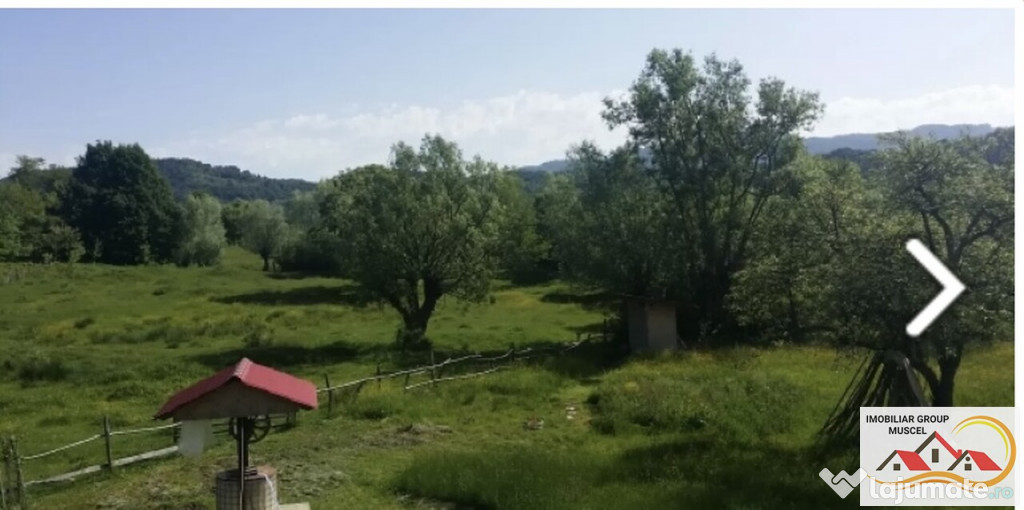 Teren 5000 mp, intravilan, Bradetu. Pret 50000 Euro