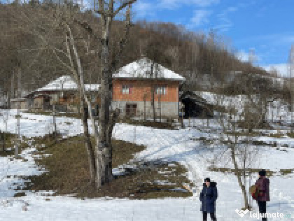 A in comuna Blajeni, sat Plai Judet Hunedoara.